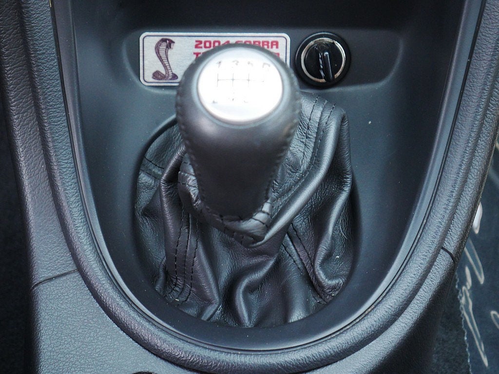 2004 Ford Mustang Cobra TERMINATOR