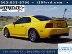 2004 Ford Mustang Cobra TERMINATOR