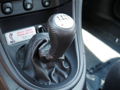 2004 Ford Mustang Cobra TERMINATOR