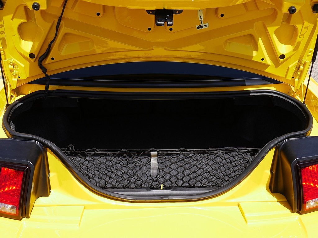 2004 Ford Mustang Cobra TERMINATOR
