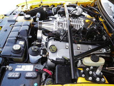2004 Ford Mustang Cobra TERMINATOR