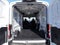 2026 Ford Transit-250 Base AWD