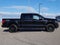 2025 Ford F-150 XLT CREW 3.5