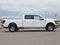 2024 Ford F-150 XLT CREW LONG BED 3.5 PB
