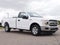 2019 Ford F-150 XL REG CAB 5.0 RWD