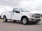 2019 Ford F-150 XL REG CAB 5.0 RWD